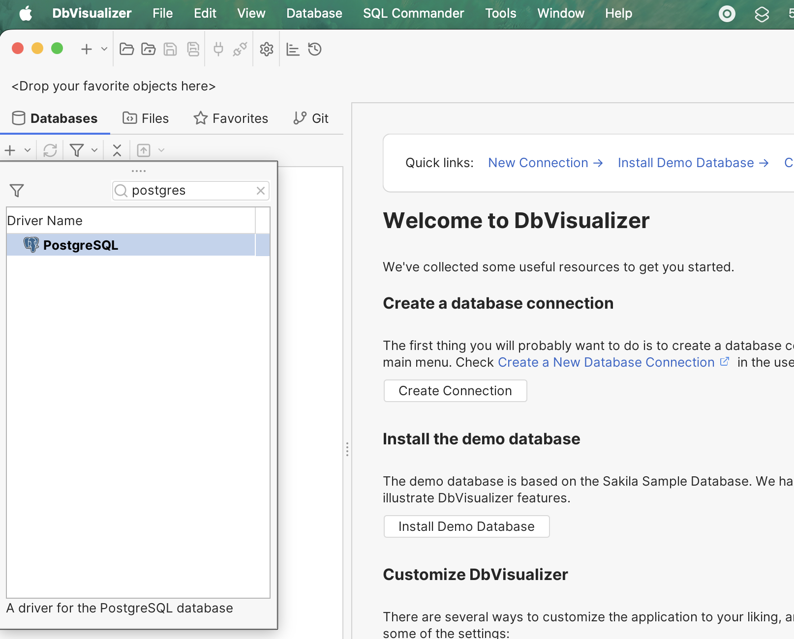 Select PostgreSQL in DbVisualizer